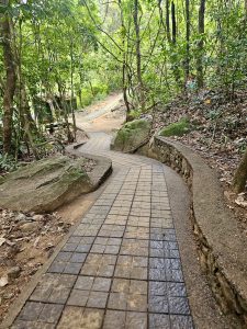 A winding forest path made of tiles and bordered by rocks leads visitors through the scenic greenery at Thusharagiri Falls, Kozhikode. 