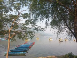 A serene Fewa Lake scene featuring a row of colorful wooden boats moored along the water's edge.