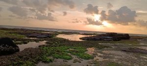 Sunset coastal scene with rocky, seaweed-covered formations, water puddles reflecting orange-pink skies, drifting clouds, and gentle ocean waves.