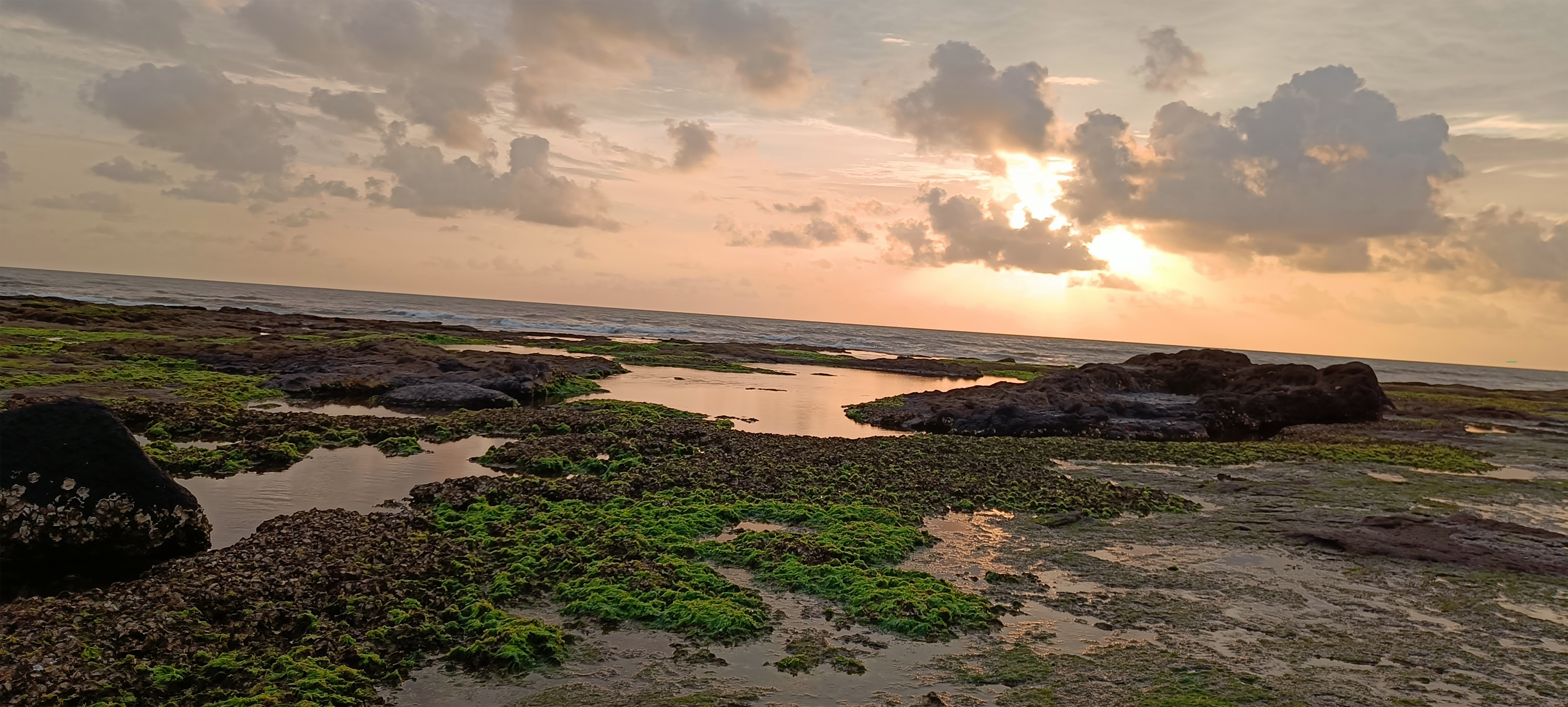 Sunset coastal scene with rocky, seaweed-covered formations, water puddles reflecting orange-pink skies, drifting clouds, and gentle ocean waves.