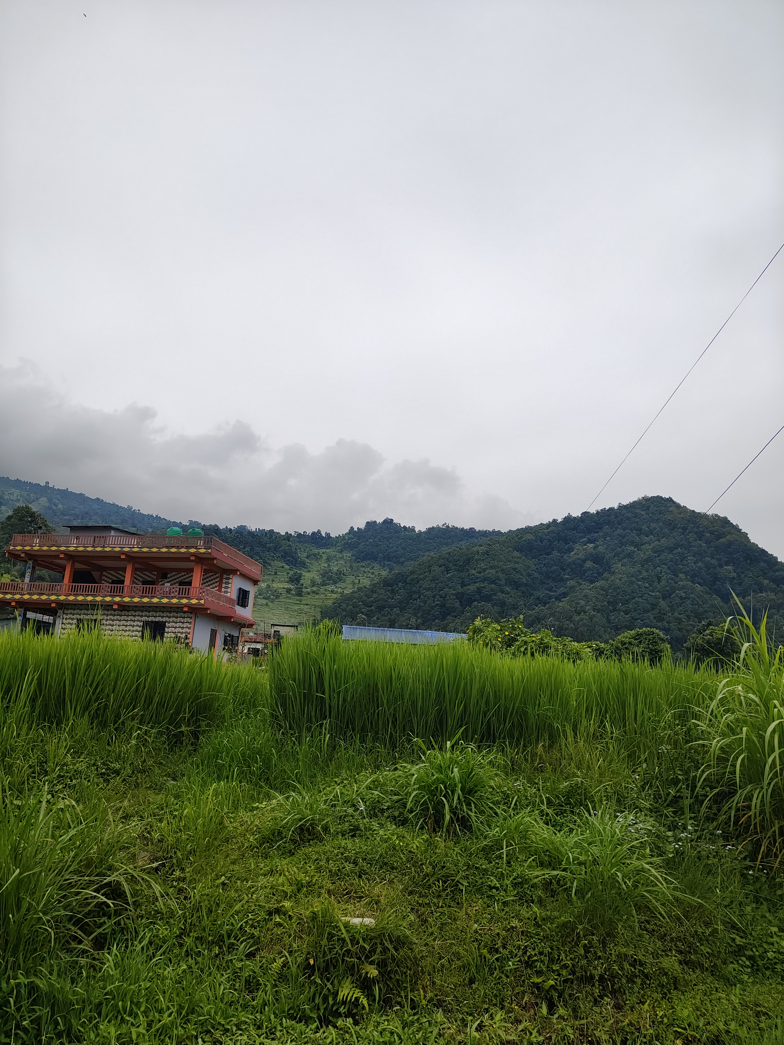 A brown, red, and green house on a tree-covered hill with grass in the foreground on an overcast day.