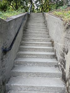 A clean concrete staircase with a black handrail, surrounded by greenery at Pittock Mansion, Portland, taken in soft evening light. 
