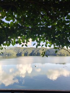 A tranquil lake scene is framed by lush green leaves overhead.
