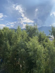 A vibrant green landscape with dense trees, distant mountains, and fluffy clouds under a bright, glowing sky.