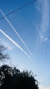Network of electricity wires and a clear blue sky 