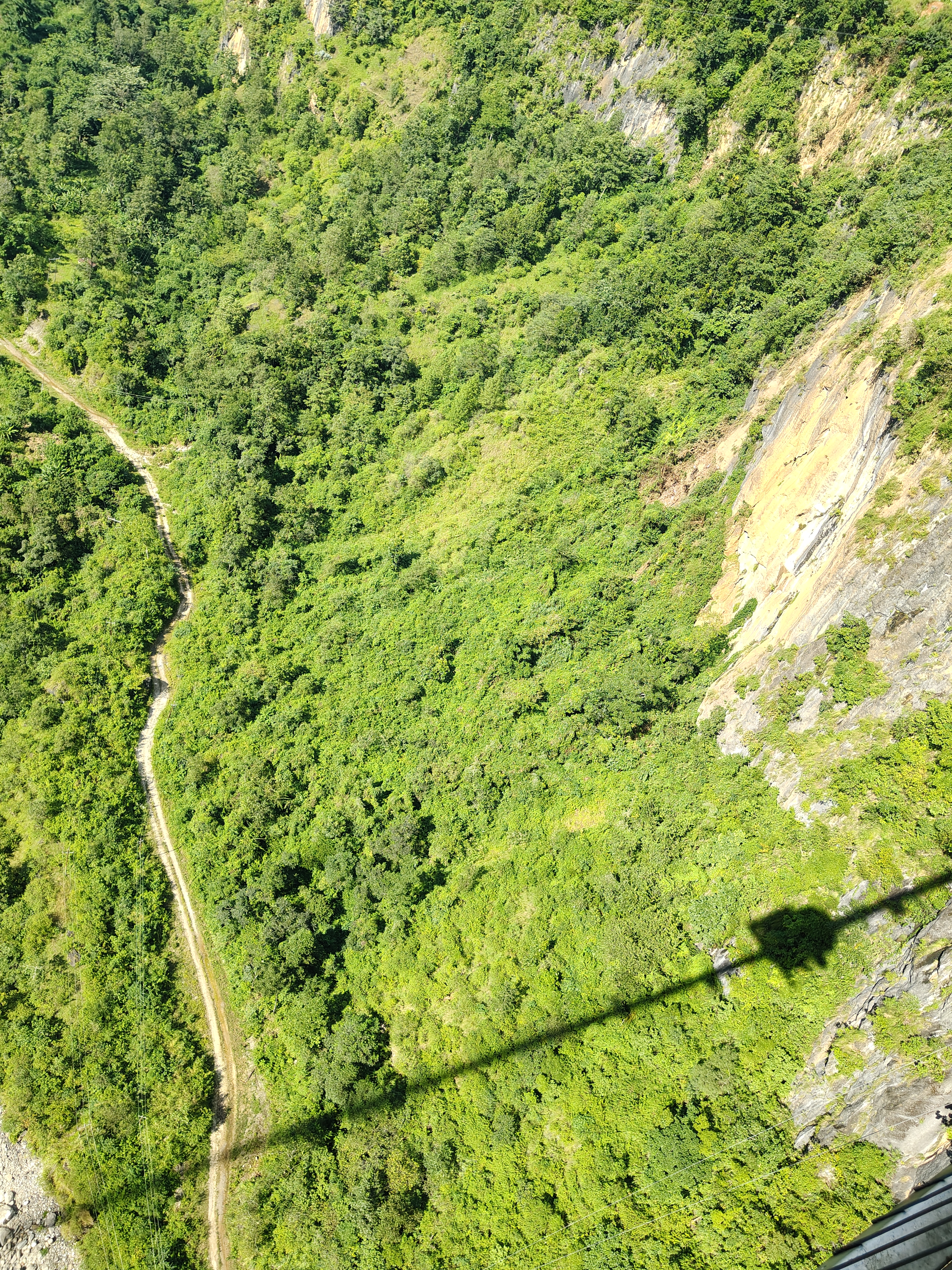 Aerial view of a lush green hillside covered with dense vegetation, featuring a winding dirt path that curves through the natural landscape.