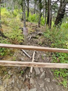 A warning sign reading &ldquo;Caution: Poison Oak&rdquo; marks a trail in the Columbia River Gorge National Scenic Area, Oregon. 