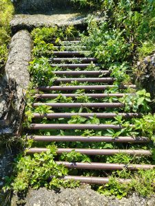 A rusty metal grate covered with vibrant green plants and weeds, partially hidden among stones and earth.