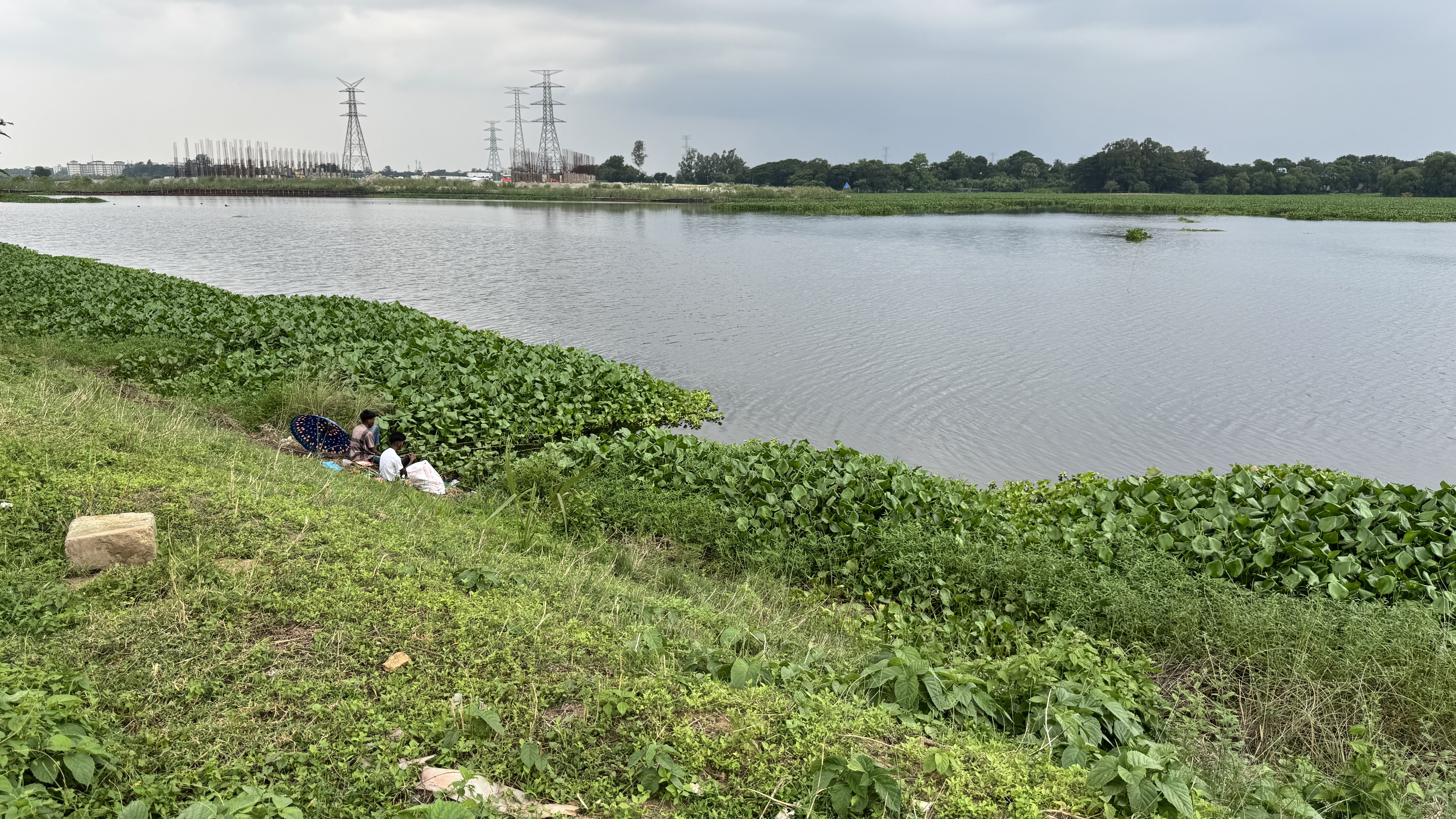 A few people are fishing at the edge of a wide river, sitting on a grassy bank lined with thick green water hyacinths.