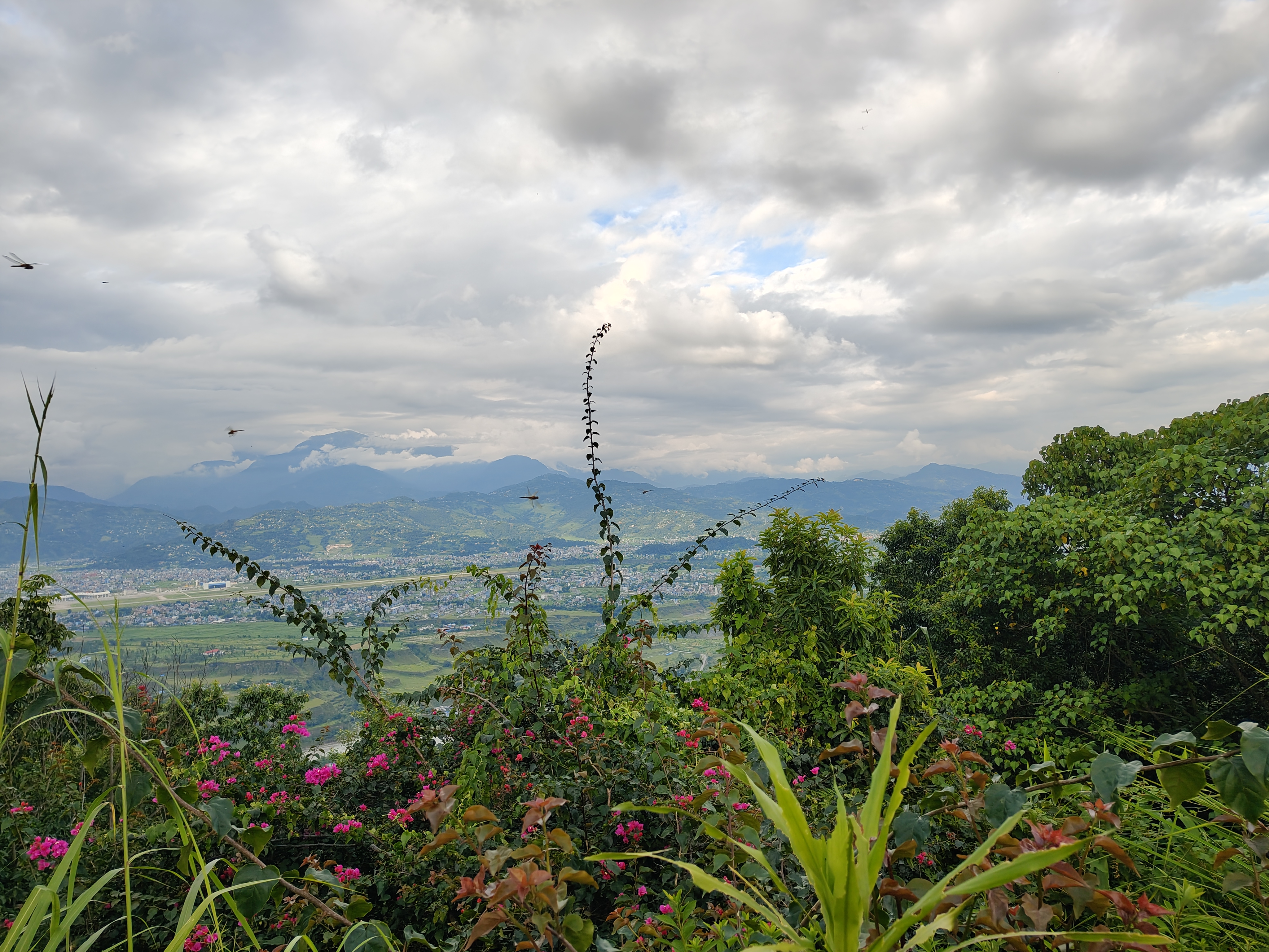 A scenic landscape featuring a view from a hillside, showcasing lush greenery and colorful flowering plants in the foreground. 