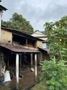 A rustic, weathered building with a metal roof features open sections where hay is stored and buffalo can be seen.