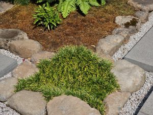 A small garden with moss, green plants, and stones placed in a circle, taken in the Portland Japanese Garden.