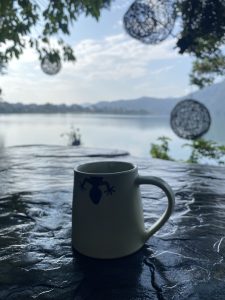 A ceramic mug with a frog design sits on a textured stone table.