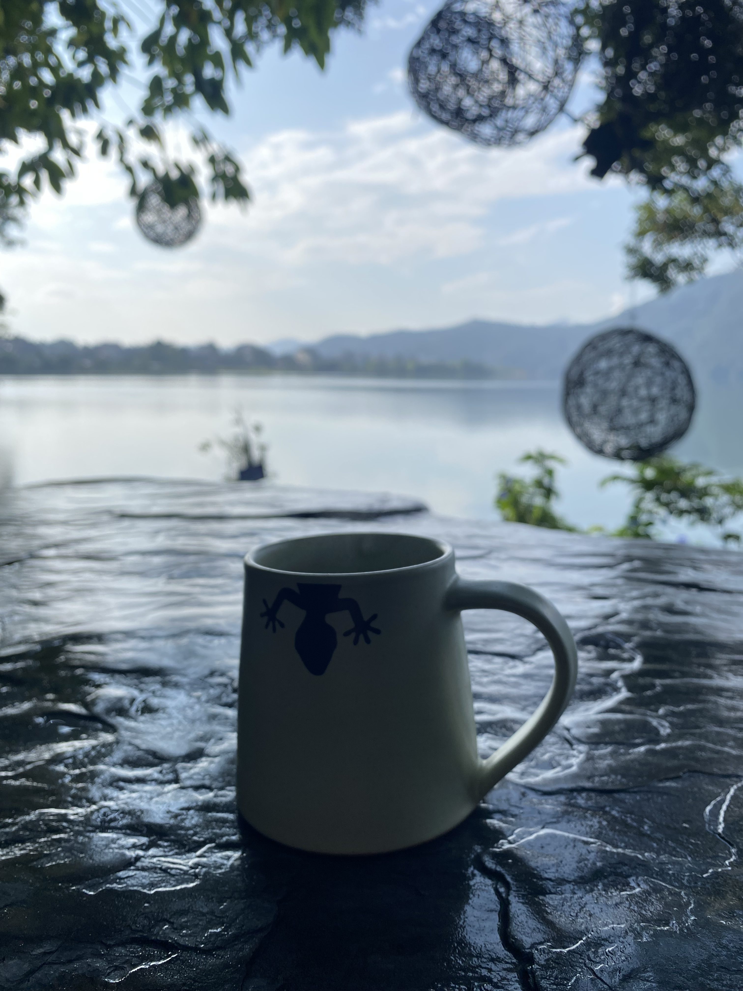 A ceramic mug with a frog design sits on a textured stone table.