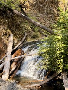 A closer look at a refreshing waterfall flowing over rocks, partially shaded by tree trunks and green foliage in the Columbia River Gorge National Scenic Area, Oregon. 