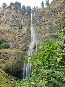 A tall waterfall plunges from a cliff with pine trees at the top and dense greenery at the bottom. Taken in the Columbia River Gorge National Scenic Area, Oregon. 