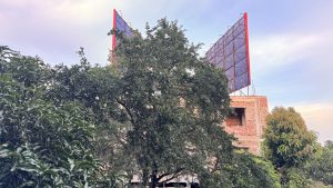 A large wood apple tree with visible fruit grows in front of an unfinished brick building topped with two large, empty blue billboards. 