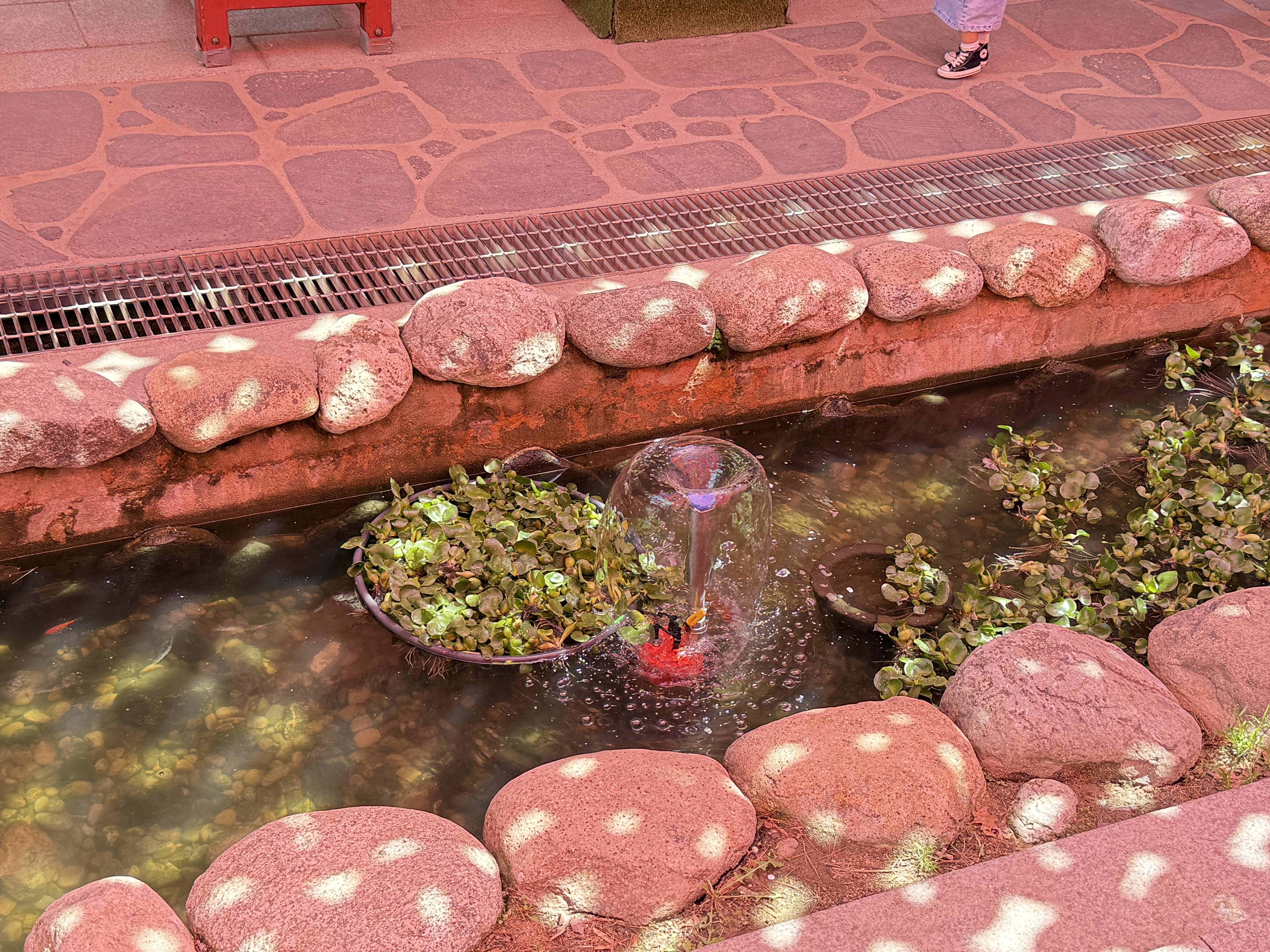 A shallow pond surrounded by a stone border, featuring a small fountain in the center.