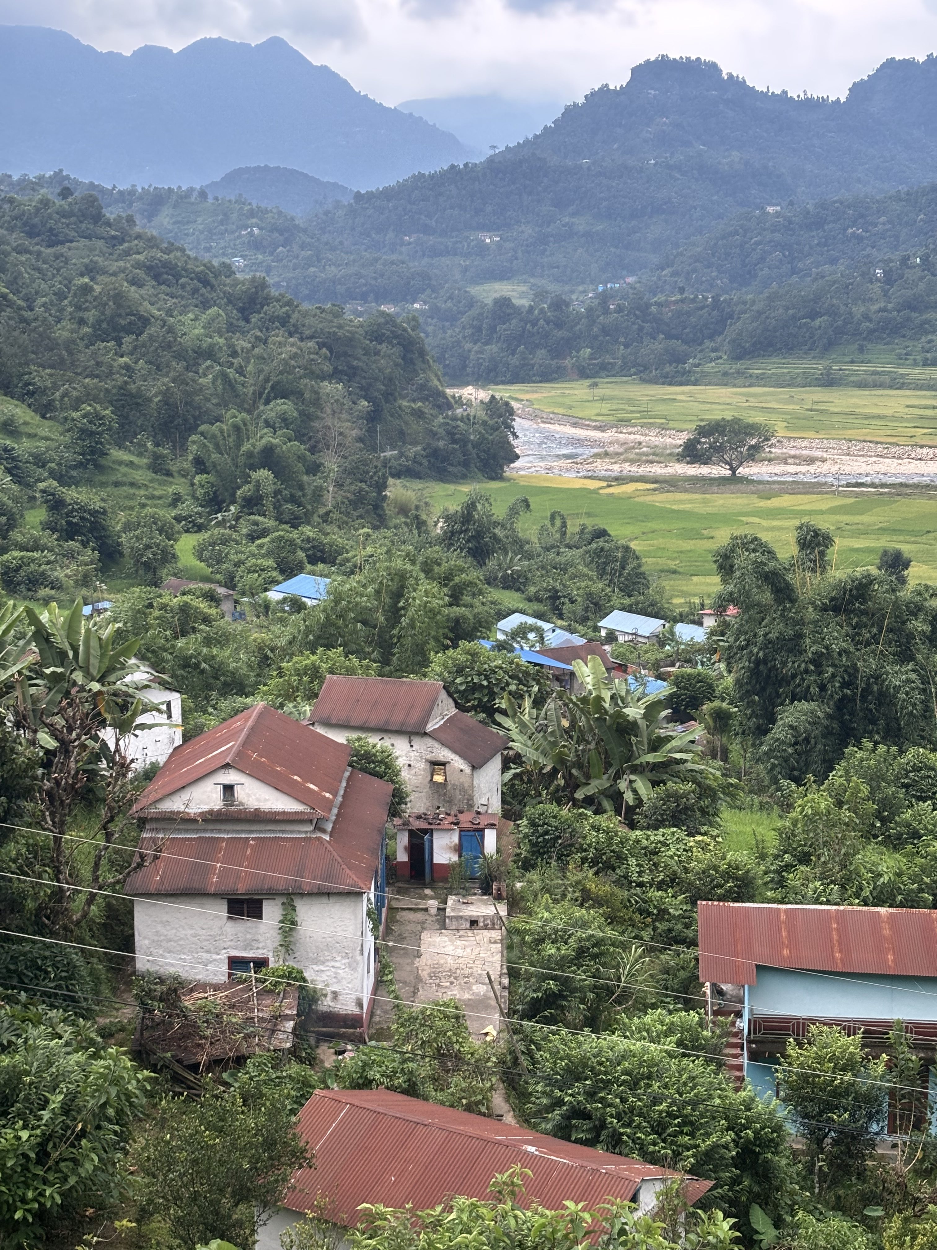 A scenic view of a rural landscape featuring several houses with brown roofs nestled among lush greenery.