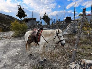 A light-colored horse with a brown saddle stands tethered by its bridle to a wooden post on a dirt path in a high-altitude area, with barbed wire fencing, low stone structures, and mountain peaks visible in the background under a blue, cloudy sky.