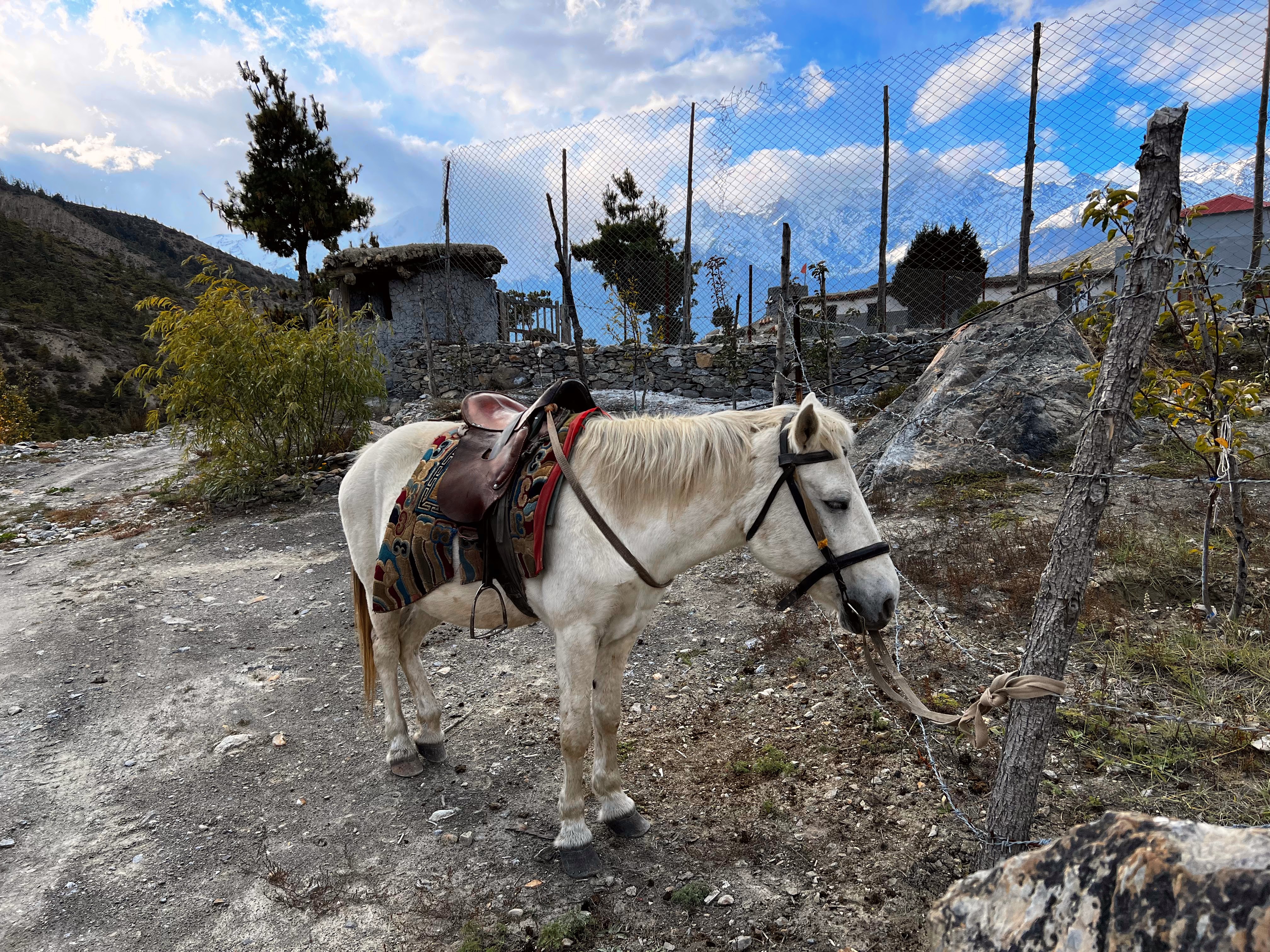 A light-colored horse with a brown saddle stands tethered by its bridle to a wooden post on a dirt path in a high-altitude area, with barbed wire fencing, low stone structures, and mountain peaks visible in the background under a blue, cloudy sky.