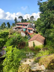 A picturesque scene of a hillside village featuring a two-story building with a red roof, surrounded by lush greenery and tall trees.