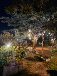 A serene, nighttime shot of a garden path. Trees with glowing string lights are a central feature, illuminating stone benches and various plants. The scene has a peaceful, enchanted feel.