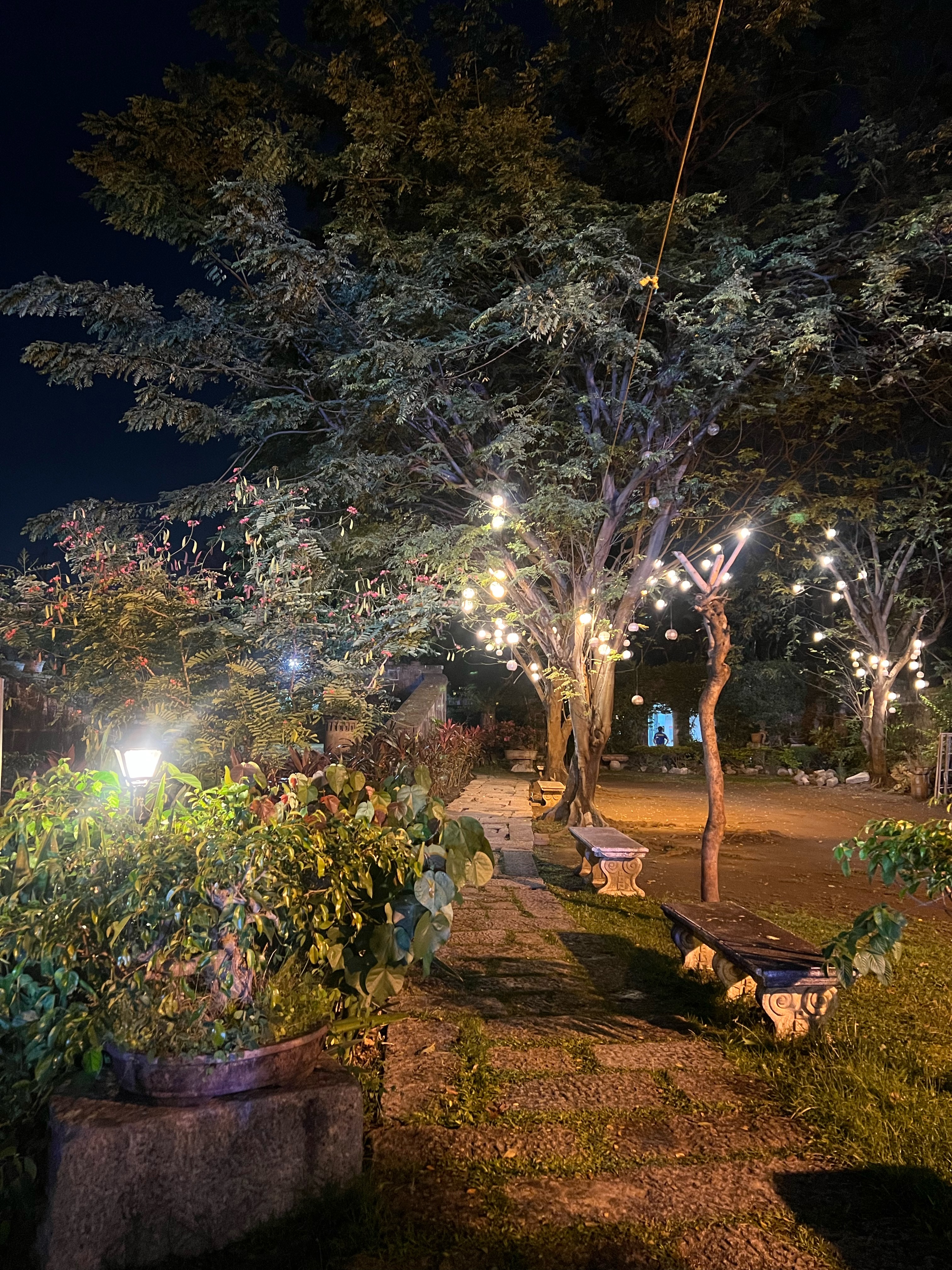 A serene, nighttime shot of a garden path. Trees with glowing string lights are a central feature, illuminating stone benches and various plants. The scene has a peaceful, enchanted feel.