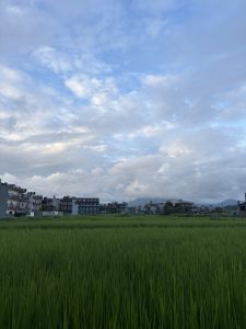 Field of long green grass flanked by a small settlement of multi level white building, some with balconies, beyond the field. There&#039;s a cloud topped mountain in the far distance.