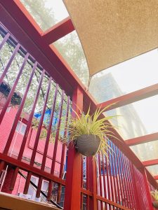 A close-up shot of a hanging spider plant on a red metal railing. In the background, a building with red and blue siding is visible, along with a canopy and trees