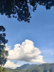 A scenic view of a clear blue sky with fluffy white clouds, framed by dark green leaves from trees at the top.