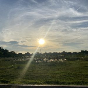 A scenic view of a landscape at sunset, featuring a bright sun low on the horizon surrounded by soft clouds in a blue sky