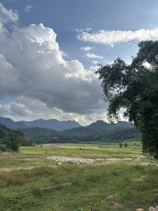 A vast landscape with green fields, rolling hills, mountains under a partly cloudy sky, grazing goats, rocks, and a few trees.