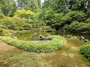 A quiet pond with two crane statues at the Portland Japanese Garden, surrounded by lush greenery and neatly shaped plants, creating a peaceful, natural scene.