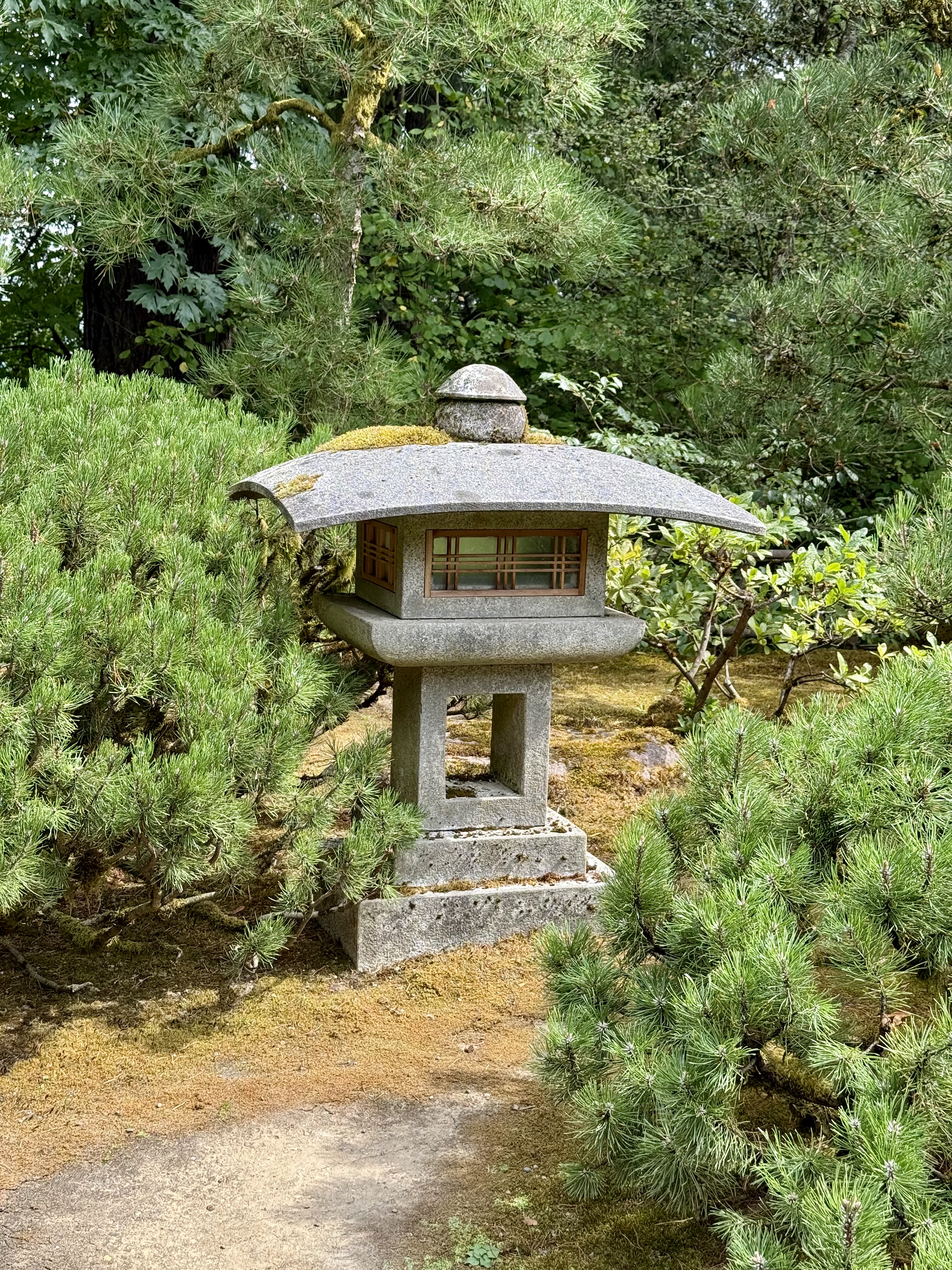 A Japanese stone lantern is placed among green pine trees and moss-covered ground. Photo taken at Portland Japanese Garden, Oregon, USA.