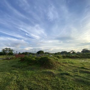A wide landscape showing a grassy field with two small mounds covered in greenery.