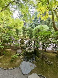 A traditional Japanese stone water basin and lantern sit in a mossy garden surrounded by green shrubs and trees. Tranquil atmosphere at Portland Japanese Garden. 