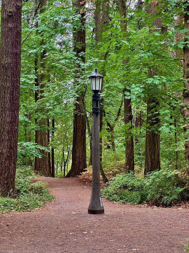 Unlit vintage lamppost centered on a dirt path winding through tall, leafy trees in a quiet forest; green canopy above, soft brown undergrowth below.