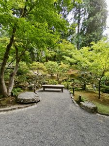 A wooden bench rests in a gravel clearing beneath tall trees and bright green leaves in the Portland Japanese Garden, inviting visitors to pause and take in the view.