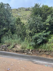 A scenic view of a lush, green hillside covered in trees and vegetation, with a cloudy sky above.