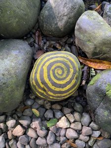 A round stone with a yellow spiral pattern sits among various other stones of different sizes and shapes.