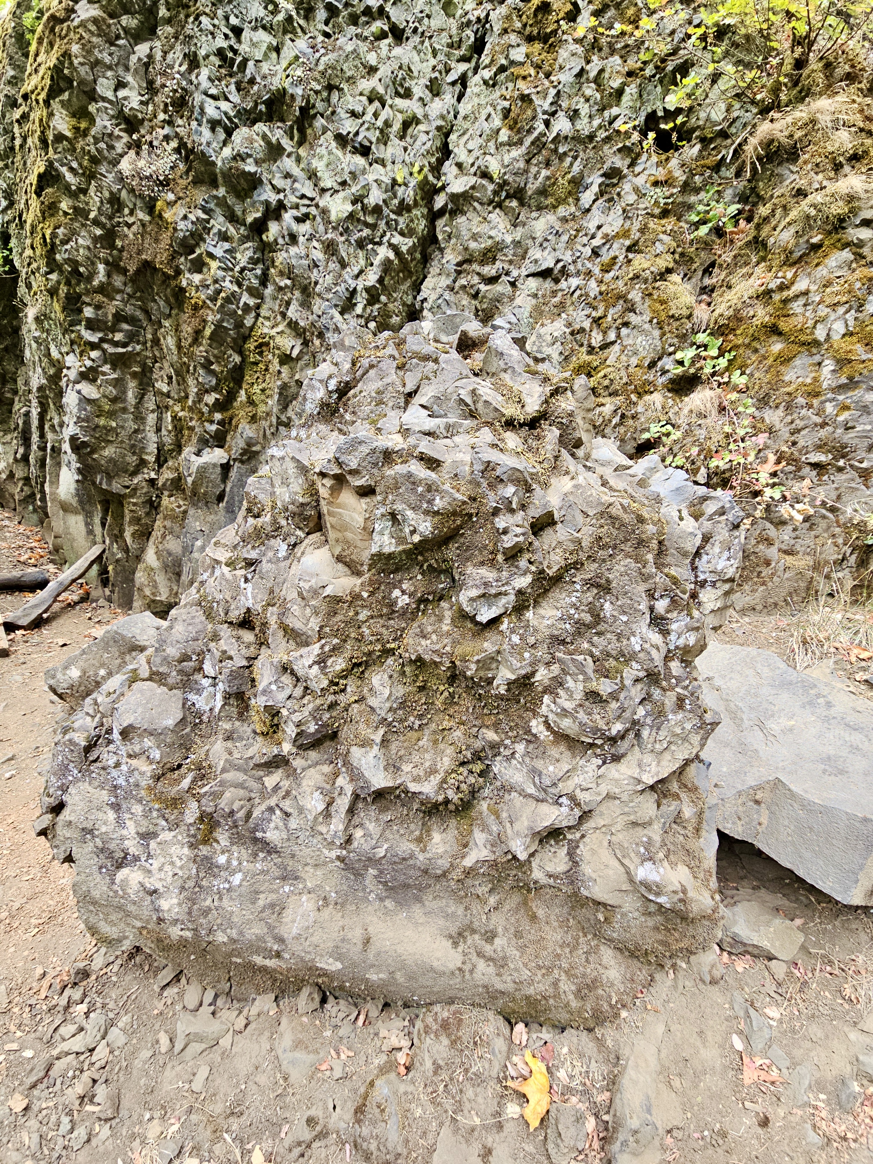Jagged rock formation stands out from a mossy cliff wall in a forest setting. Columbia River Gorge National Scenic Area, Oregon.