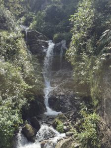 A picturesque waterfall cascades down a rocky ledge, surrounded by lush green foliage and trees.
