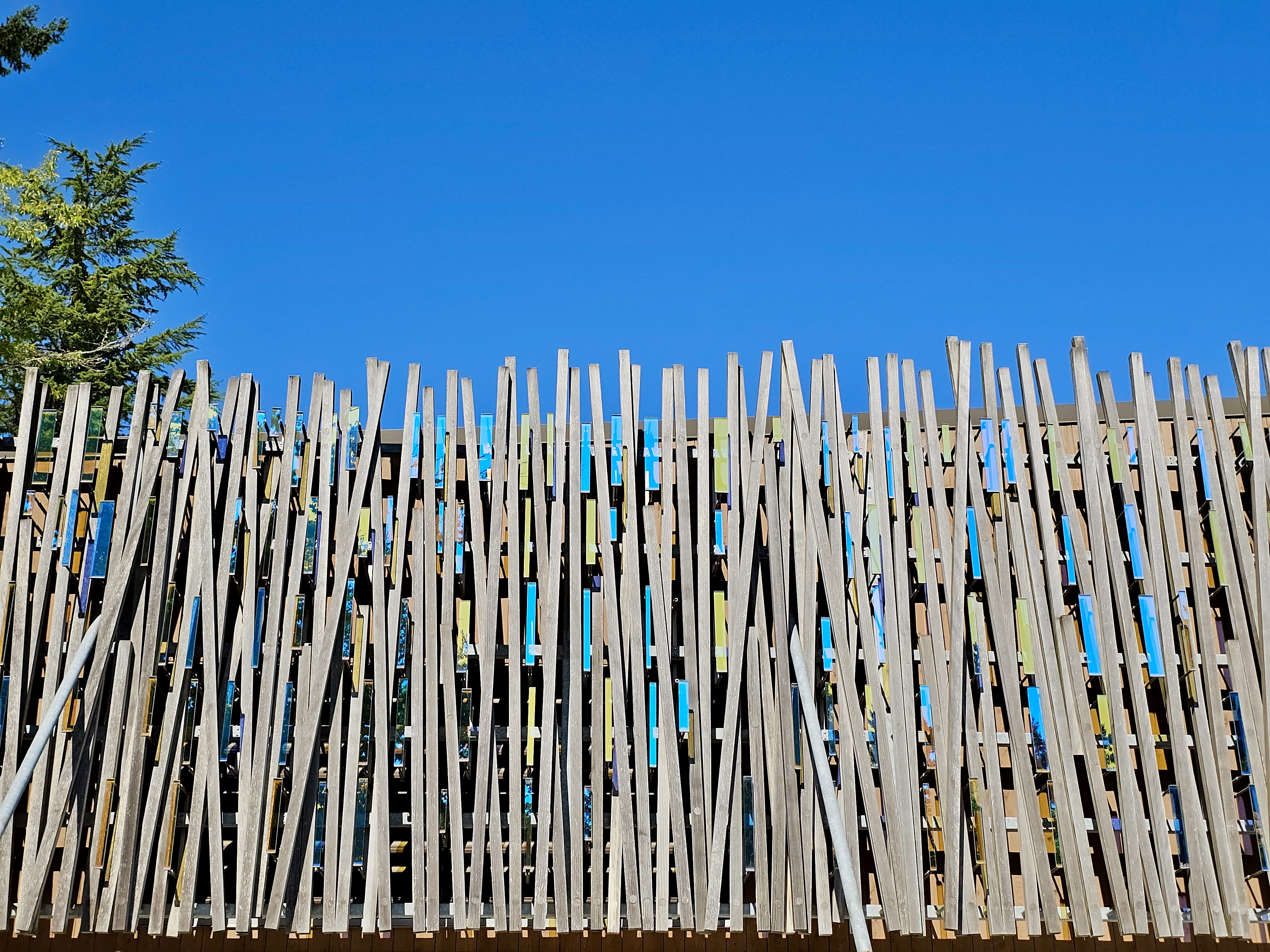 A wooden slat fence stands tall against a blue sky, with green leaves peeking in from the side. Captured at the Oregon Zoo, Portland, showing calm and natural outdoor vibes.