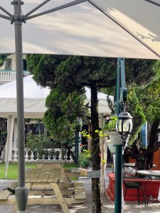 An outdoor scene with a large picnic table and a white shade umbrella. A tall, dark green tree stands in the center near a lamppost.