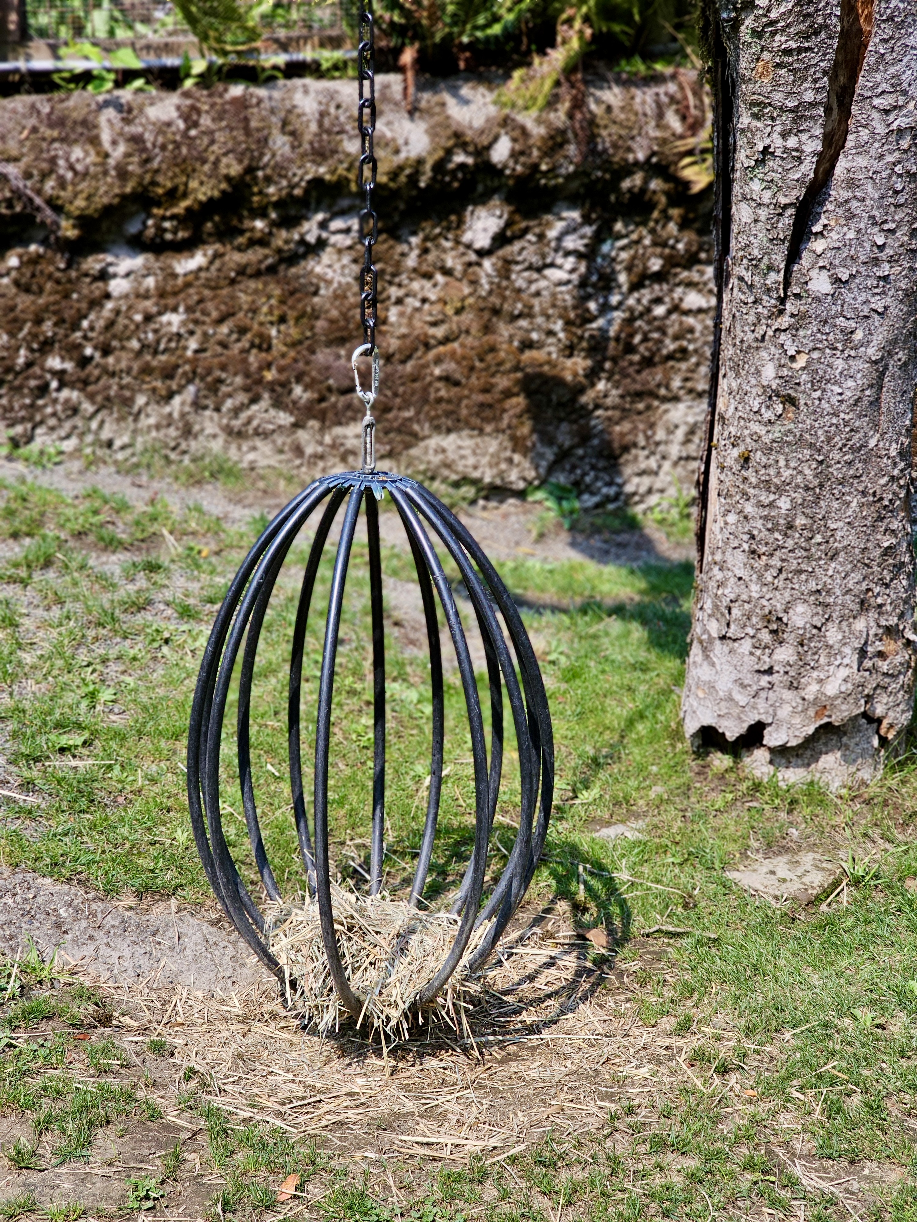 A metal hanging feeder filled with straw, placed outdoors near a tree in a zoo enclosure, captured at the Oregon Zoo, Portland.
