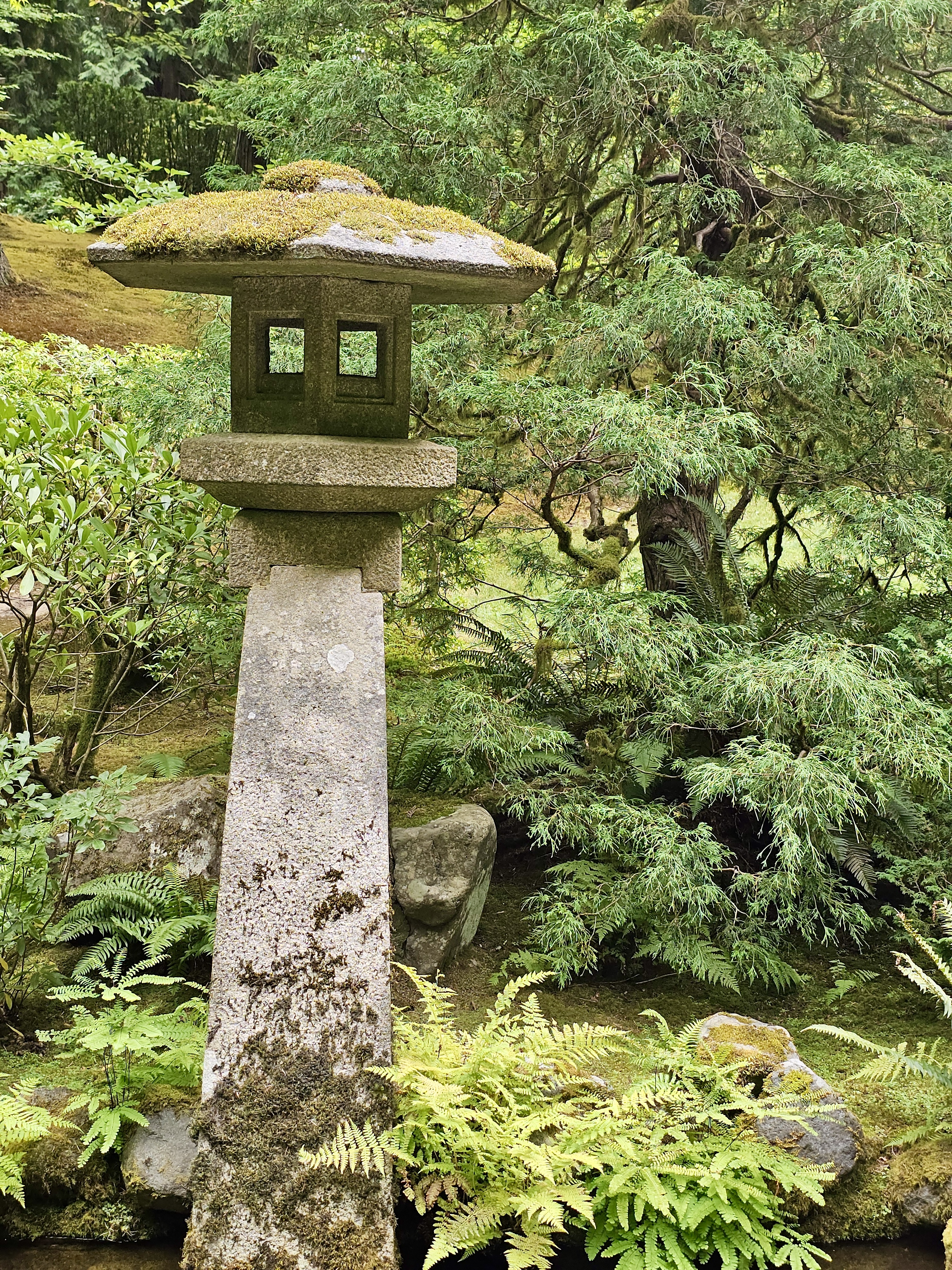 A traditional Japanese stone lantern covered with moss, standing amidst ferns and lush greenery at the Portland Japanese Garden. Captured during the day, the photo highlights the peaceful, natural beauty of the garden’s landscaping.