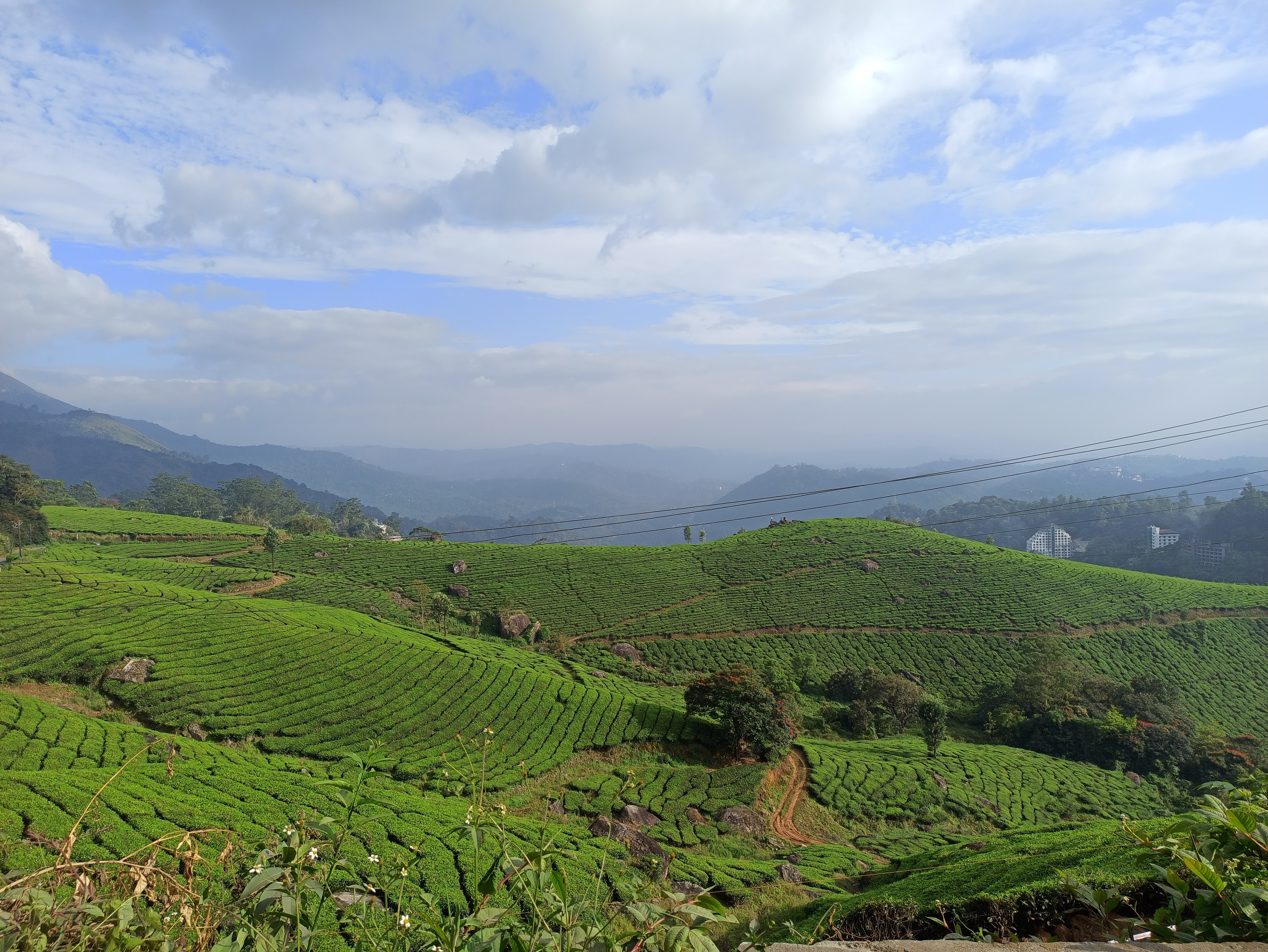 A lush green landscape of rolling tea plantations in Kerala, India, under a partly cloudy sky.