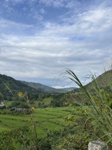 A panoramic view of rolling hills covered in lush green rice fields stretches out under a partly cloudy sky.