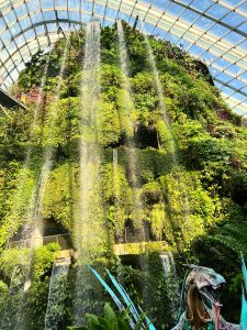 A majestic indoor waterfall flows down a lush, plant-covered wall in the Cloud Forest dome at Gardens by the Bay, with a glass ceiling above and a dinosaur statue in the foreground.